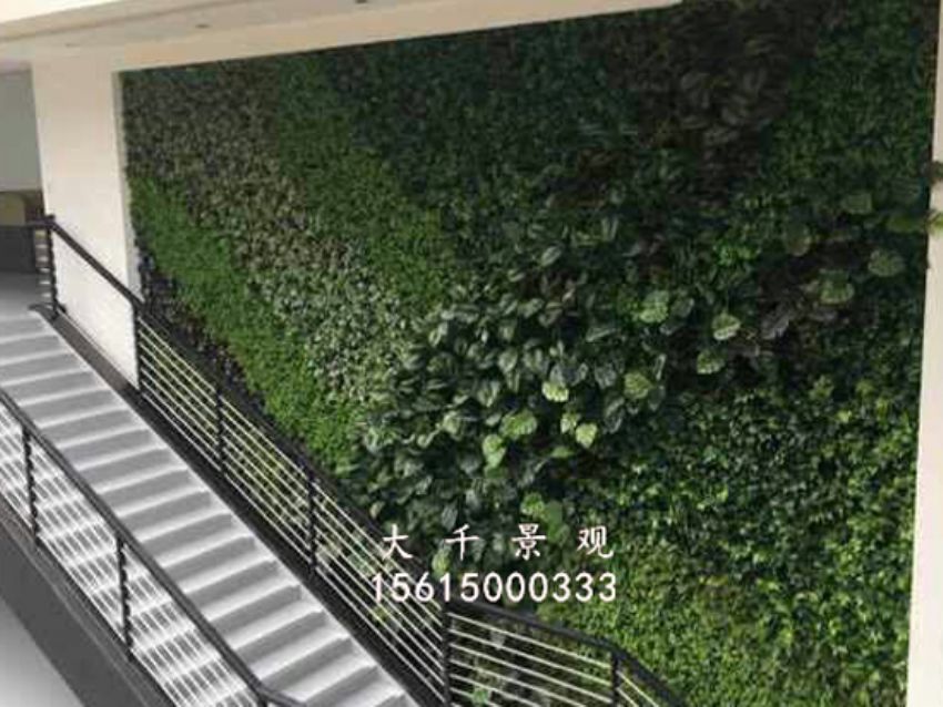點擊查看詳細信息<br>標題：綠植墻 閱讀次數(shù)：1671