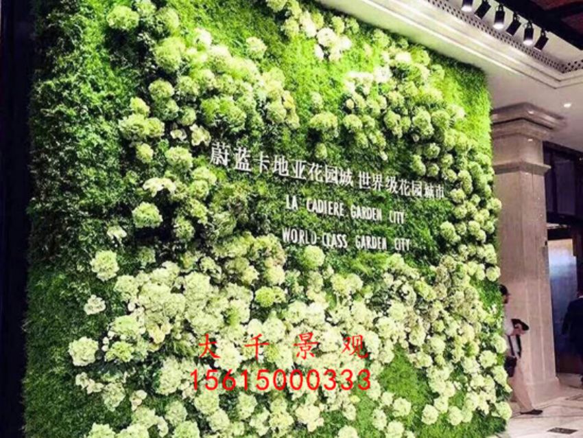 點擊查看詳細信息<br>標題：綠植墻 閱讀次數(shù)：2043