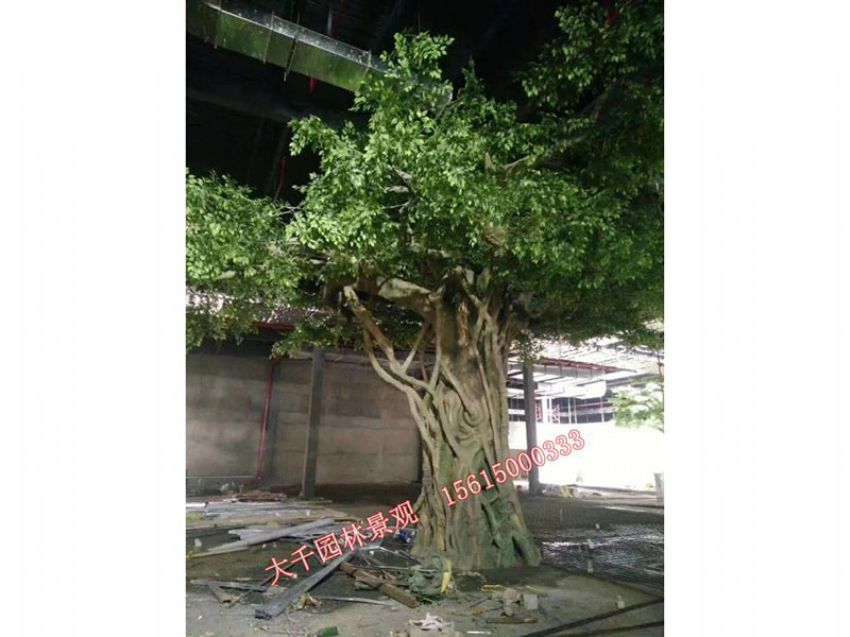 點(diǎn)擊查看詳細(xì)信息<br>標(biāo)題：假樹(shù) 閱讀次數(shù)：1574